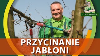 Jak przycinać jabłonie  Z PLANTĄ W OGRODZIE [upl. by Florie]