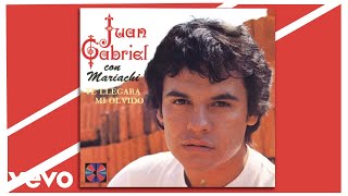 Juan Gabriel  Te Llegará Mi Olvido Cover Audio [upl. by Rodgiva416]