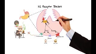 Pharmacology  ANTIHISTAMINES MADE EASY [upl. by Merilyn]