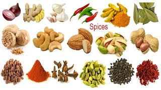 All Spices Names amp Images with English amp Bangla Meaning  English Vocabulary [upl. by Carlotta]