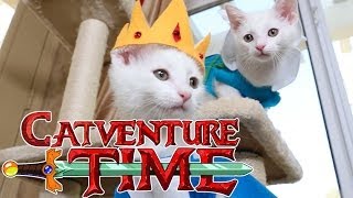 Adventure Time Cute Kitten Edition [upl. by Eintruoc]