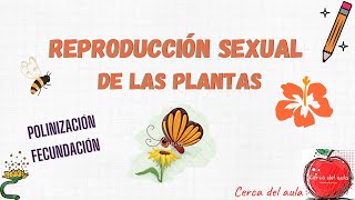 Reproducción sexual de las plantas [upl. by Nnaharas190]