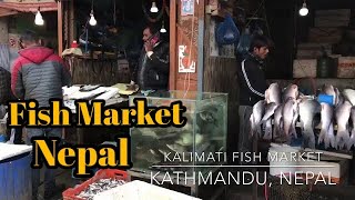 Fish market Kathmandu Nepal [upl. by Ytoc630]