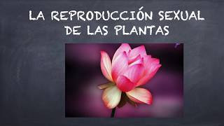 La reproducción sexual de las plantas [upl. by Adihaj]