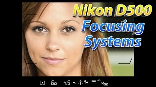 Nikon D500 Tutorial Part 2  How To Focus Training [upl. by Sewole977]