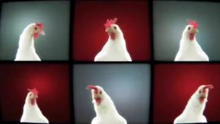 Chicken Song Geco Remix 10 часов HD [upl. by Ferdy358]