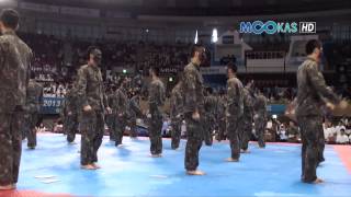 Taekwondo display by the Korean army at the 2013 Hammadang [upl. by Essile289]