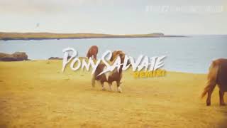 PONY SALVAJE  EXTENDED REMIX [upl. by Kokoruda166]