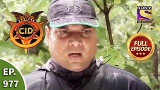 CID  सीआईडी  Ep 977 Jungle Mystery  Full Episode [upl. by Euseibbob440]