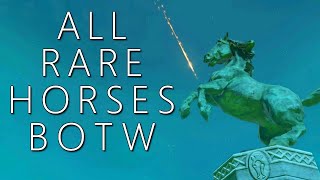 All Rare Horses amp Where to Find Them BOTW [upl. by Ennovehc]