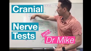 Cranial Nerve Tests  Nervous System [upl. by Sihtnyc584]