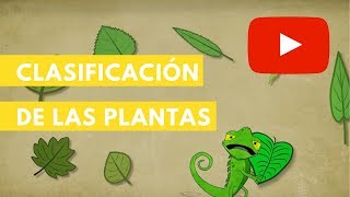 Clasificación de las plantas  Camaleón [upl. by Nahtnaoj]