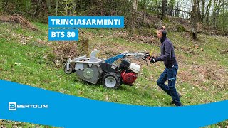 Trinciasarmenti BTS 80  Bertolini [upl. by Koa]