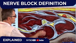 Nerve block definition  Regional anesthesia Crash course with Dr Hadzic [upl. by Jary263]