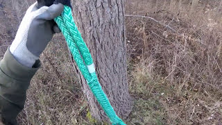 Whoopie Sling Basics  Arborist Rigging [upl. by Stevana332]