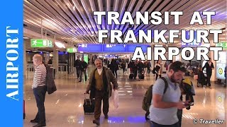 TRANSIT WALK AT FRANKFURT Airport FRA Terminal 1  Connection Flight Transfer Arriving amp Departing [upl. by Ritz]