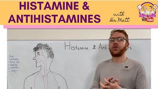 Histamine and Antihistamines Meds [upl. by Eelrahc]