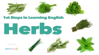 English Vocabulary  HERBS [upl. by Norraf]