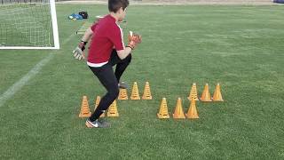 U12 Goalkeeper Training [upl. by Nabois887]