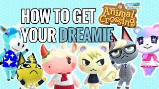 How to get the BEST Villagers Animal Crossing New Horizons [upl. by Yalahs275]